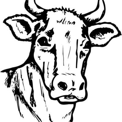 COW006 Thumbnail
