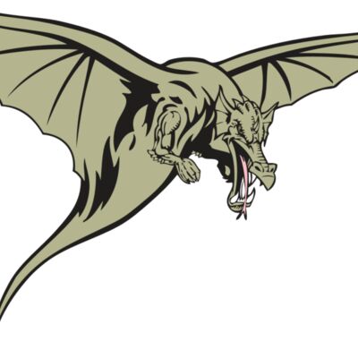 BAW DRAGON 12 RC Thumbnail