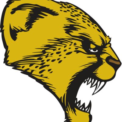 BAW CHEETAH 13 RC Thumbnail