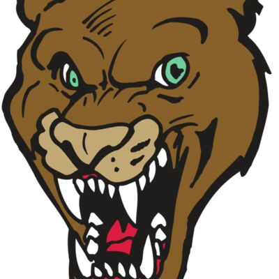 AR5 COUGAR 16 RQC Thumbnail