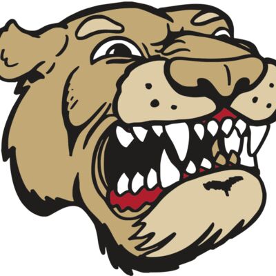 AR5 COUGAR 04 RQC Thumbnail