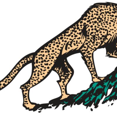 AR CHEETAH 02 RC Thumbnail