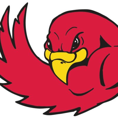 AR FALCON 18 RC Thumbnail