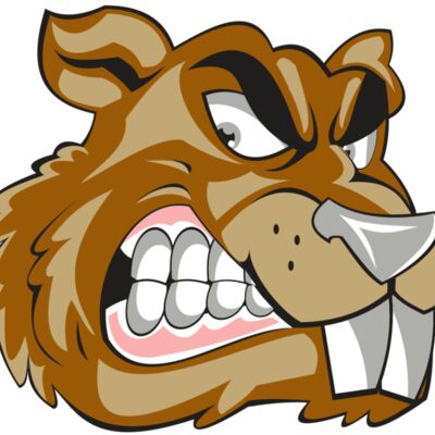 BEAVER HD0503 RQC Thumbnail