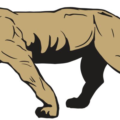 AR10 PANTHER 04 RQC Thumbnail