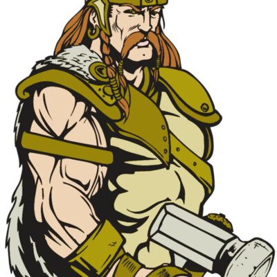 AR VIKING 38 RC Thumbnail